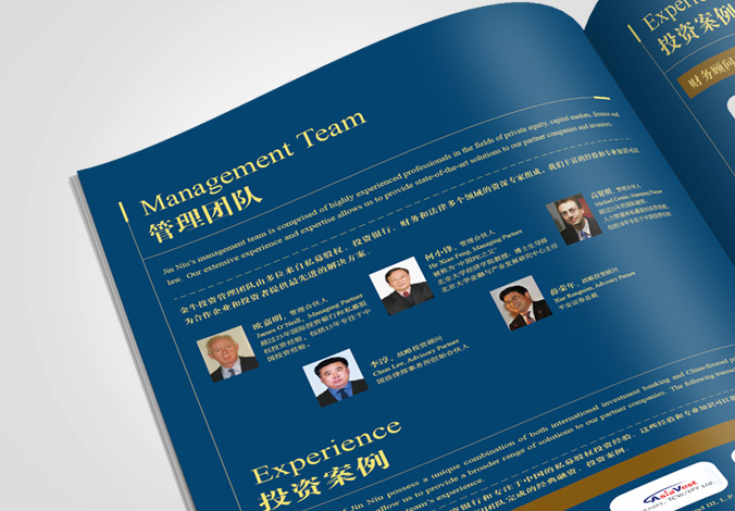 金牛投資集團 宣傳冊設計樣本   企業樣本設計