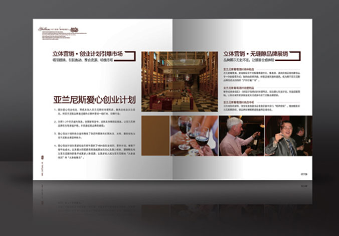 畫冊設計，標志設計，VI設計，交互設計，包裝設計，空間導示，數志視頻，廣告創意設計，博納設計