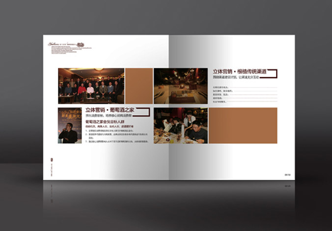 畫冊設計，標志設計，VI設計，交互設計，包裝設計，空間導示，數志視頻，廣告創意設計，博納設計