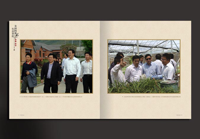 畫冊設計，標志設計，VI設計，交互設計，包裝設計，空間導示，數志視頻，廣告創意設計，博納設計