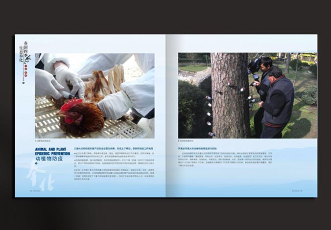 畫冊設計，標志設計，VI設計，交互設計，包裝設計，空間導示，數志視頻，廣告創意設計，博納設計