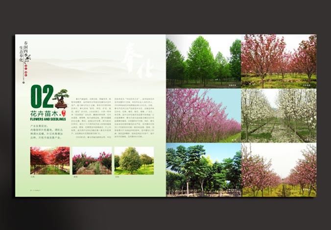 畫冊設計，標志設計，VI設計，交互設計，包裝設計，空間導示，數志視頻，廣告創意設計，博納設計