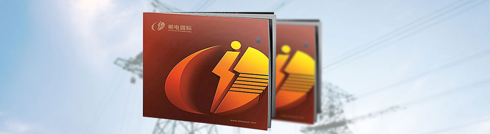 湖南郴電國際發展公司