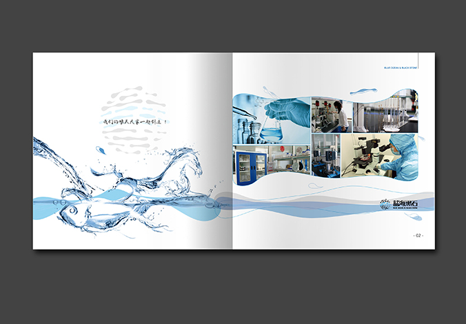 藍海黑石 畫冊設計 宣傳冊設計 商標設計 標志設計 logo設計 VI設計 品牌設計 公司商標設計  企業標志設計 公司標志設計 企業logo設計 企業VI設計 企業品牌設計 北京彩頁設計