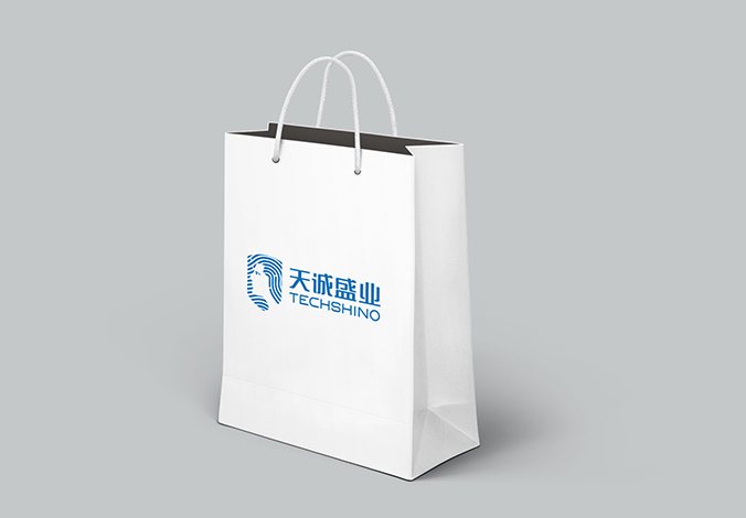 logo設計 企業logo設計 商標設計 VI設計  天誠盛業科技