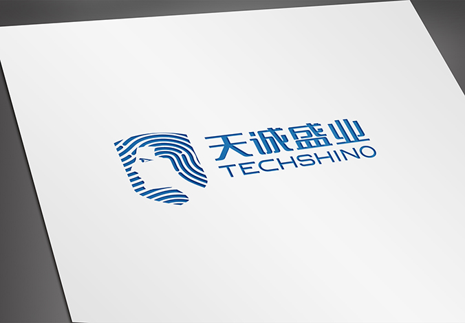 logo設計 企業logo設計 商標設計 VI設計  天誠盛業科技