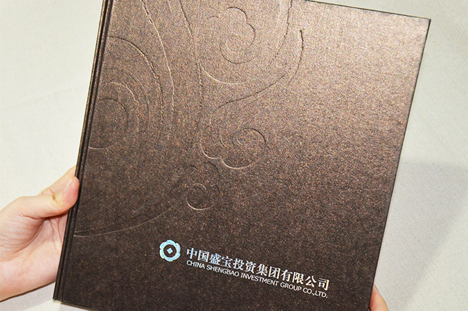 中國盛寶投資集團 畫冊設計 宣傳冊設計 北京彩頁設計 logo設計 商標設計 標志設計 企業logo設計 VI設計 VI設計公司 品牌設計 品牌設計公司