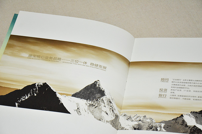 中國盛寶投資集團 畫冊設計 宣傳冊設計 北京彩頁設計 logo設計 商標設計 標志設計 企業logo設計 VI設計 VI設計公司 品牌設計 品牌設計公司