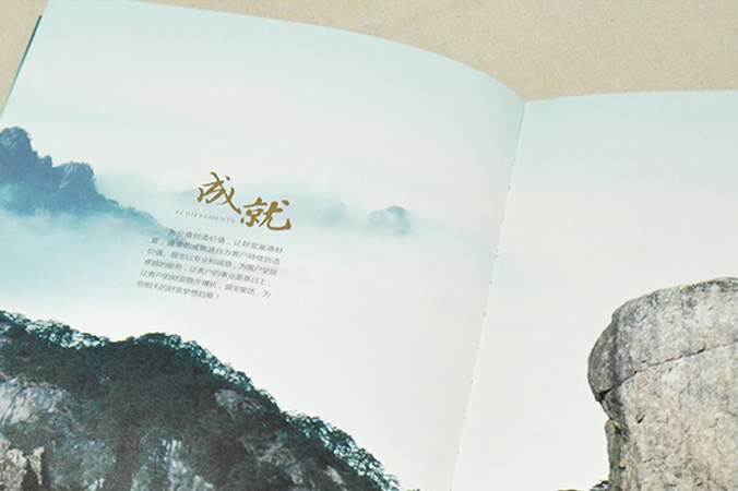 中國盛寶投資集團 畫冊設計 宣傳冊設計 北京彩頁設計 logo設計 商標設計 標志設計 企業logo設計 VI設計 VI設計公司 品牌設計 品牌設計公司