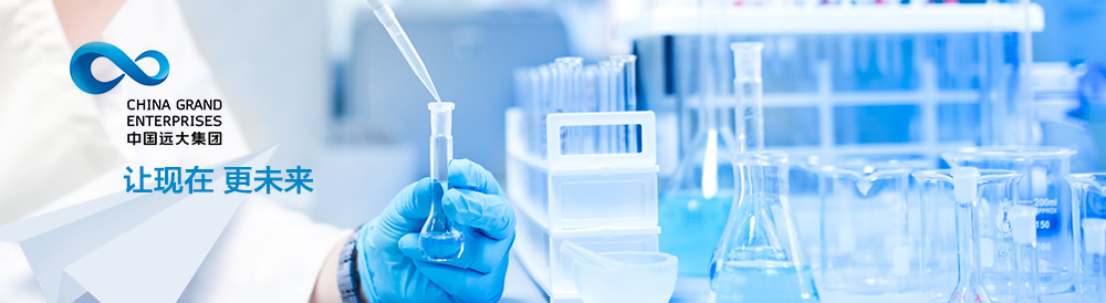 中國遠大集團