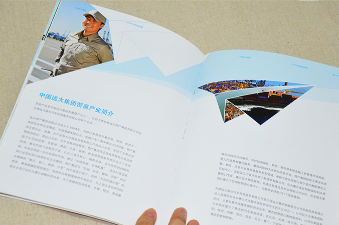 中國遠大集團 畫冊設計 宣傳冊設計 北京彩頁設計 logo設計 商標設計 標志設計 企業logo設計 VI設計 VI設計公司 品牌設計 品牌設計公司