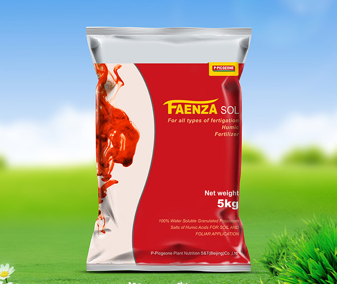 法恩莎水溶肥 包裝設(shè)計 產(chǎn)品包裝設(shè)計 包裝盒設(shè)計 畫冊設(shè)計 宣傳冊設(shè)計 北京彩頁設(shè)計 logo設(shè)計 商標(biāo)設(shè)計 標(biāo)志設(shè)計 企業(yè)logo設(shè)計 VI設(shè)計 VI設(shè)計公司