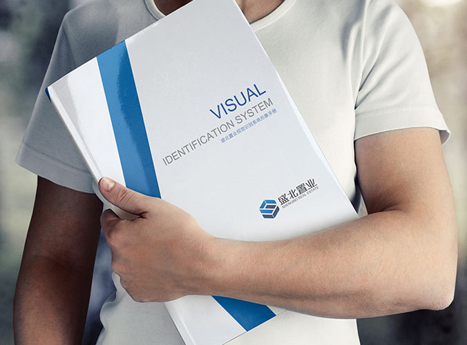 盛北置業 logo設計 商標設計 標志設計 企業logo設計 VI設計 VI設計公司 品牌設計 品牌設計公司 包裝設計 產品包裝設計 包裝盒設計 畫冊設計 宣傳冊設計 北京彩頁設計