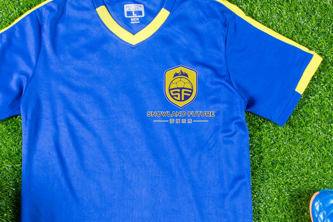 雪域未來 logo設計 公司logo設計 企業標志設計