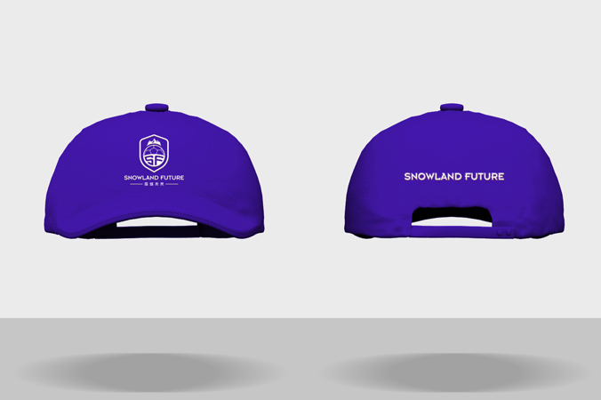 雪域未來 logo設計 公司logo設計 企業標志設計