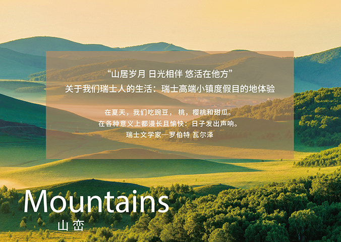 VI設(shè)計   公司VI設(shè)計  企業(yè)品牌設(shè)計  瑞嵐酒店