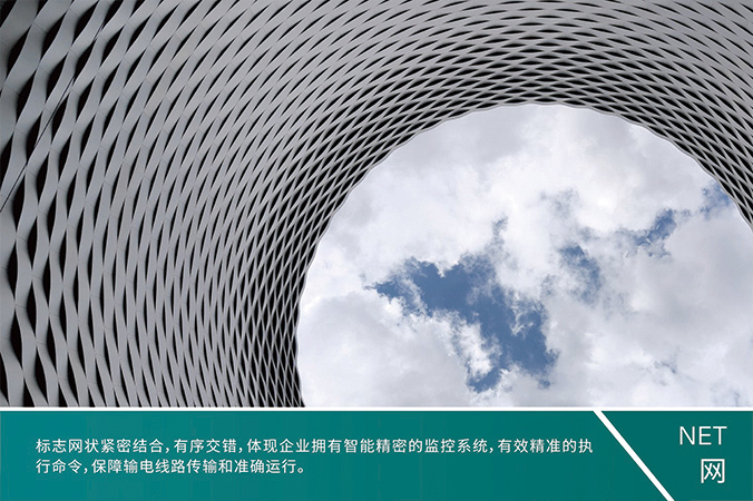 商標(biāo)設(shè)計(jì)，產(chǎn)品商標(biāo)設(shè)計(jì)，logo設(shè)計(jì)   中國電科院-風(fēng)險(xiǎn)智控系統(tǒng)