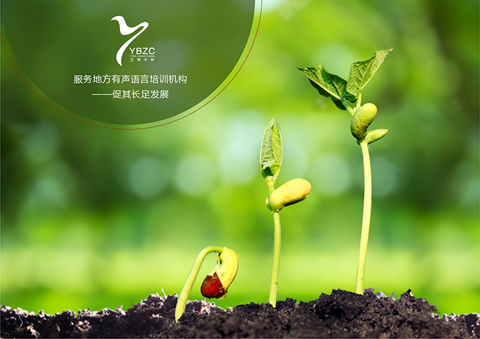 藝博中傳教育  商標(biāo)設(shè)計 VI設(shè)計 品牌設(shè)計 公司商標(biāo)設(shè)計