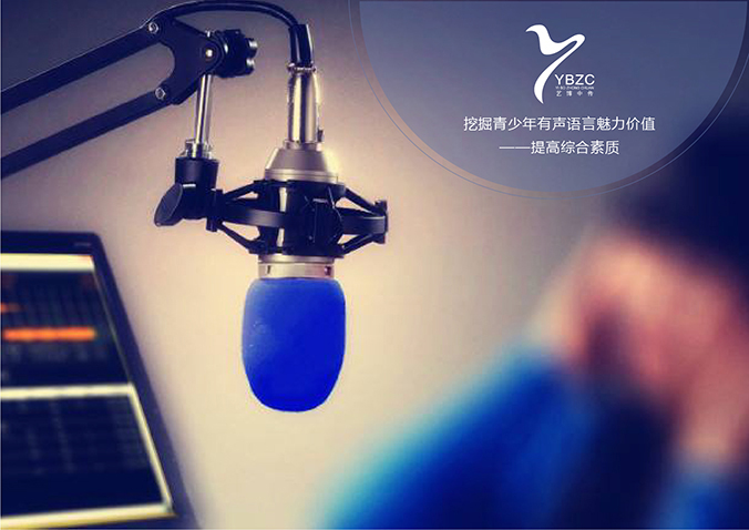 藝博中傳教育  商標(biāo)設(shè)計 VI設(shè)計 品牌設(shè)計 公司商標(biāo)設(shè)計