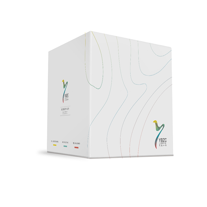 藝博中傳教育  商標(biāo)設(shè)計 VI設(shè)計 品牌設(shè)計 公司商標(biāo)設(shè)計