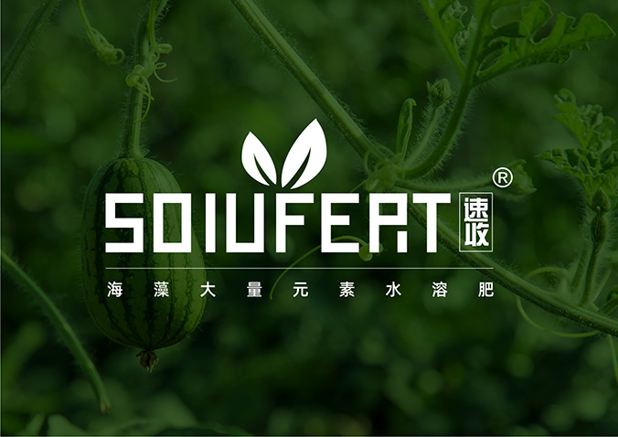 速收 包裝設計 產品包裝設計 包裝盒設計