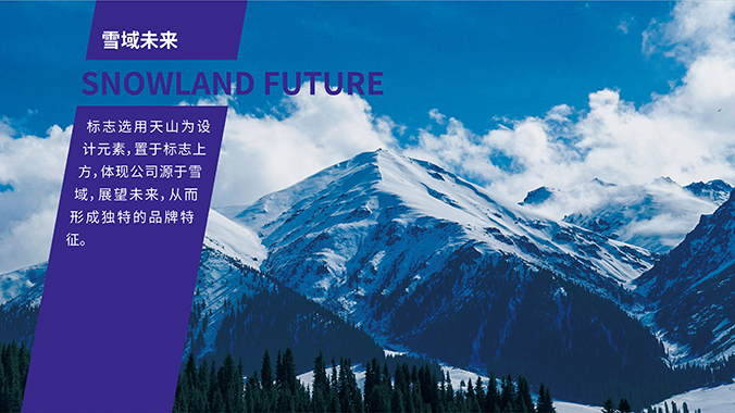 雪域未來 logo設計 公司logo設計 企業標志設計