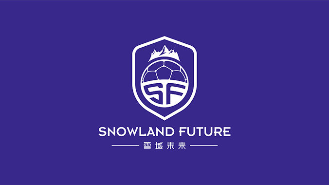 雪域未來 logo設計 公司logo設計 企業標志設計