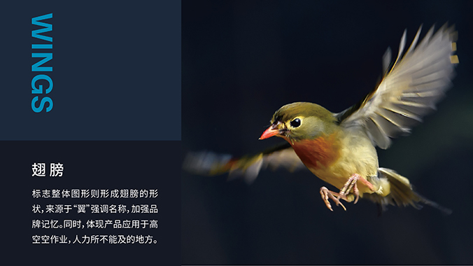 logo設(shè)計  企業(yè)logo設(shè)計 公司標(biāo)志設(shè)計 翼博-人工智能飛行器