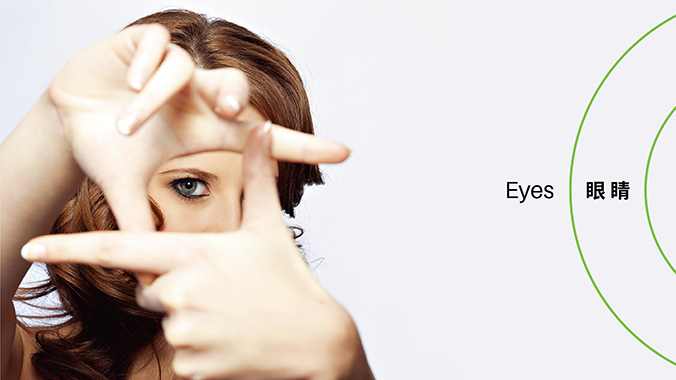 品牌設計，VI設計，企業VI設計   中知認證