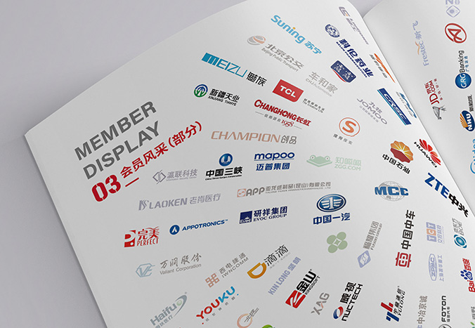 中國專利保護協(xié)會  宣傳冊設計,產品畫冊設計,畫冊設計