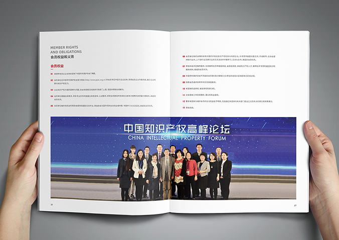 中國專利保護協(xié)會  宣傳冊設計,產品畫冊設計,畫冊設計