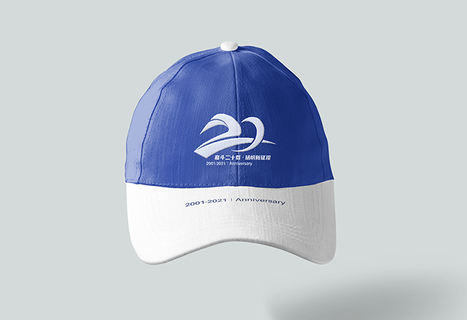 北方國際   紀(jì)念LOGO設(shè)計(jì)  標(biāo)志設(shè)計(jì)   公司商標(biāo)設(shè)計(jì)